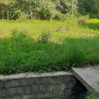 زمین با کاربری مسکونی و باغی به فروش میرسد