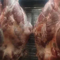 فروش و پخش گوشت