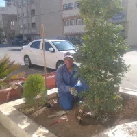 خدمات باغبانی طبیعت|خدمات باغبانی و درختکاری|قم, امامزاده ابراهیم|دیوار