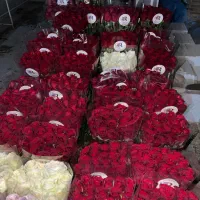 فروشندگی دربازارگل امام رضا