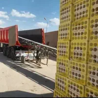 سه گل آجر سفال زبره لفتون آجرنما مستقیم از کارخانه|عمده‌فروشی|شیراز, شهرک پرواز|دیوار