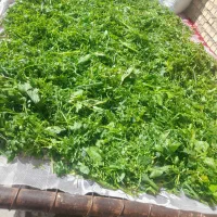 سبزی خورشتی