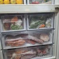 یخچال نیکسون بدون برفک|یخچال و فریزر|تهران, کیانشهر|دیوار