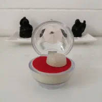 سنگ اصلی حرم امام حسن عسکری ع