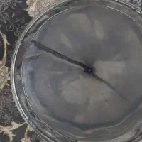 دستگاه گلاب گیری / عرق گیری|ظروف پختوپز|پردیس, فاز ۸|دیوار