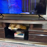 تلوزیون سامسونگ|تلویزیون و پروژکتور|اندیشه, اندیشه فاز ۱|دیوار