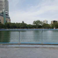 سرویس مسی