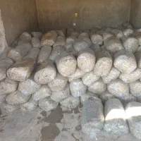 جلودار حیدری|عمده‌فروشی|فراشبند, |دیوار