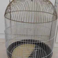 قفس