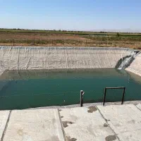 باغ انگور داربستی