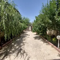 باغچه ۵۱۰ متر آب برق سنددار تهراندشت سعیدآباد|فروش زمین و ملک کلنگی|کرج, عظیمیه|دیوار