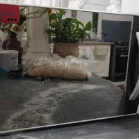 مایکروفر