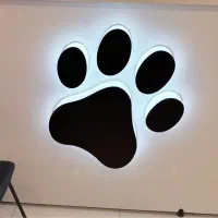 جذب ادیتور ویدئو