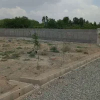 زمین-فروشی