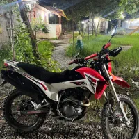 فلات ۲۰۰ نیوفیس