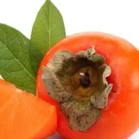 خرید و ارسال پرتقال و نارنگی تناژ بالا برای شما