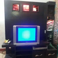 ۲۱ اینج|تلویزیون و پروژکتور|سوسنگرد, |دیوار