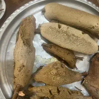 عسل درجه یک خوزستان|خوردنی و آشامیدنی|تهران, تهرانپارس جنوبی|دیوار