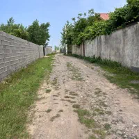 کارشناس فروش برای زمین|استخدام بازاریابی و فروش|رشت, کوی حسینی|دیوار