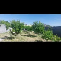 باغ-فروشی