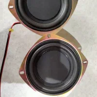 یک جفت ساب ۴ اینچ microlab