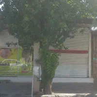 مغازه۱۴متری خیابان امام خمینی جنوبی