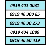 0919.308.9005|سیم‌کارت|کرج, شاهین‌ویلا|دیوار