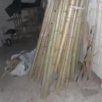 فروش چوب بامبو