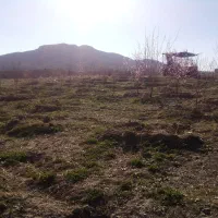 باغچه گزلو کهنسیا