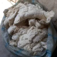 پنبه طبیعی ،گیاهی