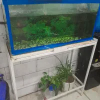 آکواریوم با تمامی لوازم