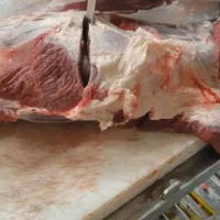 قصاب بی خس کار گوشت