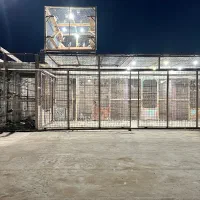 تور کبوتر بازی