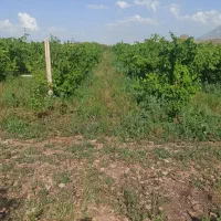 باغ جلفادشت گردیان|فروش خانه و ویلا|جلفا, |دیوار