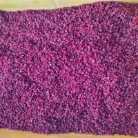 زرشک خشک ، باغ زرشکی ، شاخ زرشک|عمدهفروشی|بیرجند, |دیوار