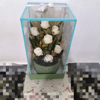 باکس گل نو