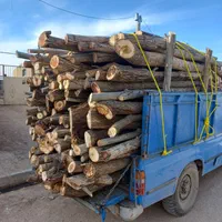 خریدانواع چوب ودرخت|خدمات باغبانی و درختکاری|همدان, |دیوار