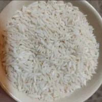 برنج طارم امرللهی یک تن