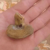 مهره قدیمی بجول گرگ