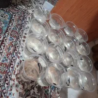 ماهی فایتر|ماهی|تهران, سلیمانی|دیوار