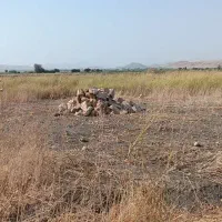 زمین 150 متری در پاونار