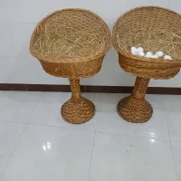 وسایل مرغ فروشی یخچال میز کار|فروشگاه و مغازه|رضوانشهر, |دیوار