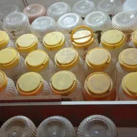 ظرف ۵ کیلویی