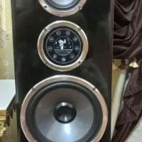 باند بزرگ خانواده