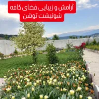 کافه-باغ-شونیشت