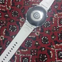 ساعت مچی|ساعت|الشتر, |دیوار