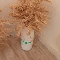 فروش5هکتار زمین