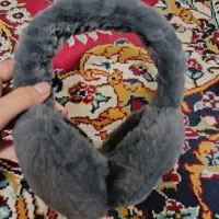 گوش گیر