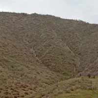 چاله کن و تیلر شخم زنی با کم ترین قیمت