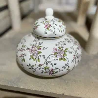 نیرو کار خانوم